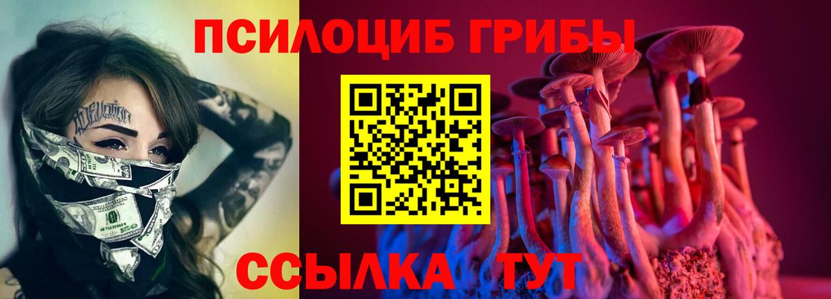Галлюциногенные грибы Psilocybe Сегежа